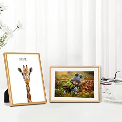 Артистични щампи за развъдник Celepaty 6 в стил Сафари, Фотография Истински животни от Джунглата с Вдъхновяващи