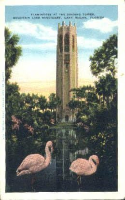 Пощенска картичка с езеро Уелс, Флорида