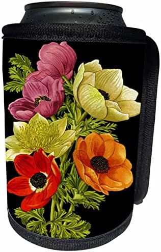 Вектор ботаническата изкуство 3dRose Anemone Windflower - Опаковки за бутилки-охладители (cc_356925_1)